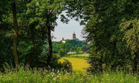 Gemeinde Bedburg-Hau: Antrag auf Unterschutzstellung des Alten Tiergartens